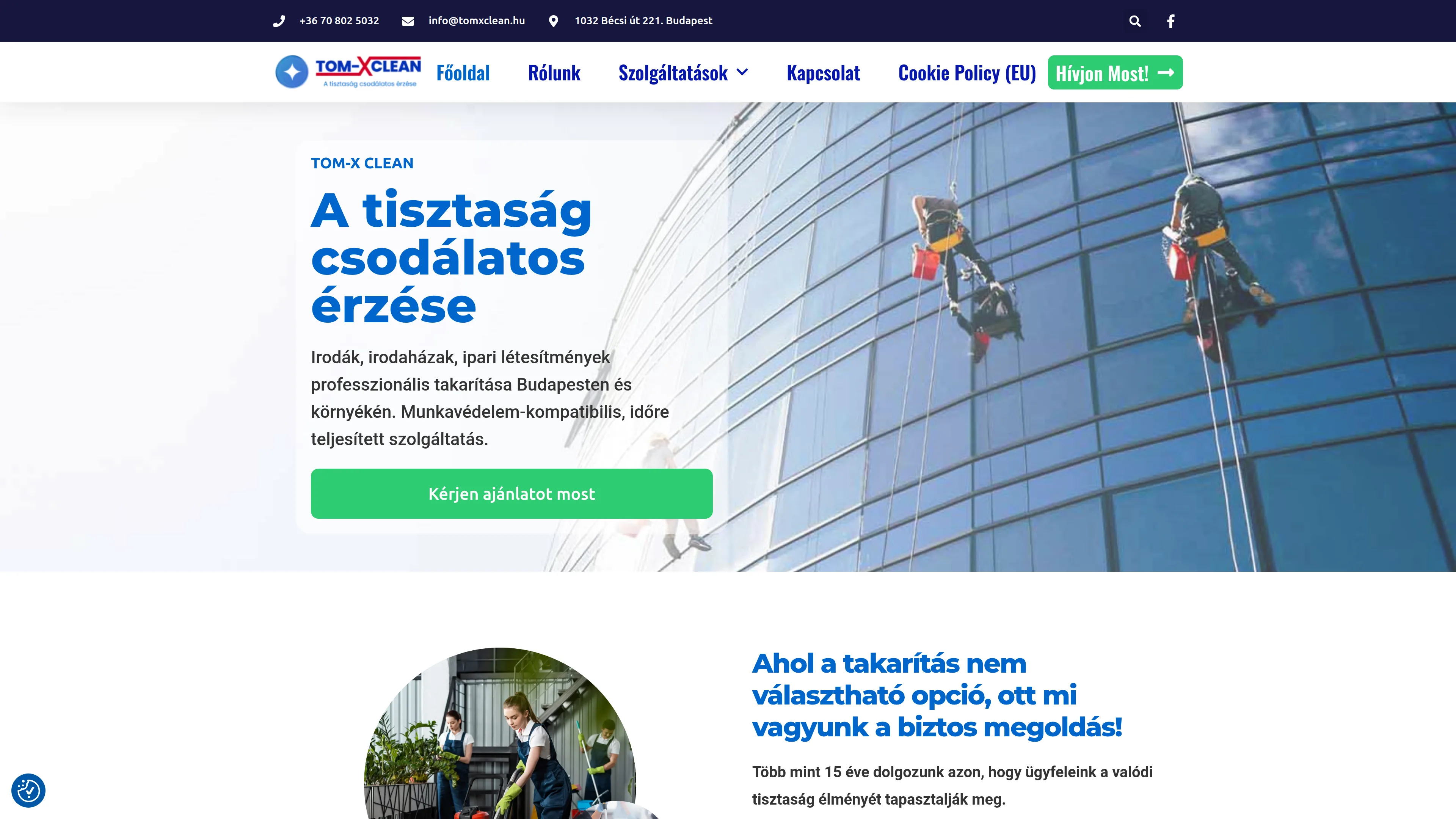 TomXClean weboldal screenshot